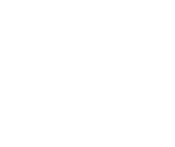 WELCOME TO THE BASEMENT OF YOUR DREAMS